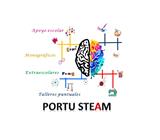 Portu Steam