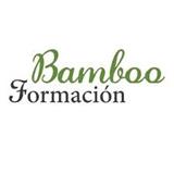Bamboo Formación