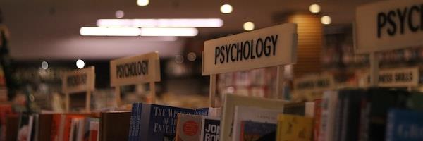 Which Branch Of Psychology Should You Study A Beginner S Guide To The   0146c2e7 Eb7c 4da5 9c8b 75ede34d5c45 