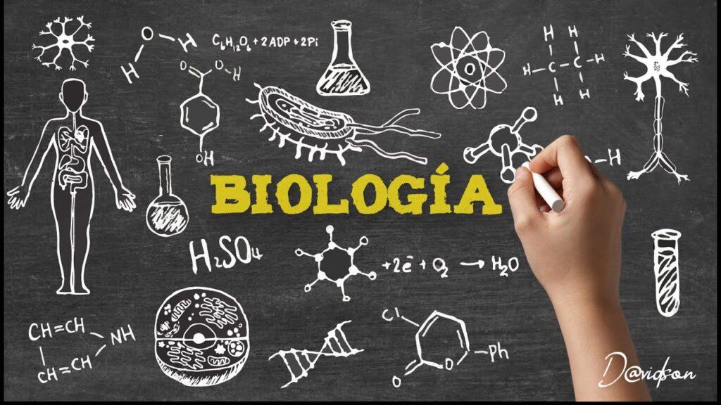 ¿En Qué Se Diferencian Los Tres Tipos De Biología?