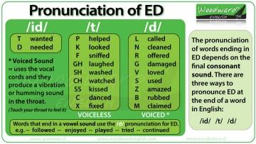 words with endo and more