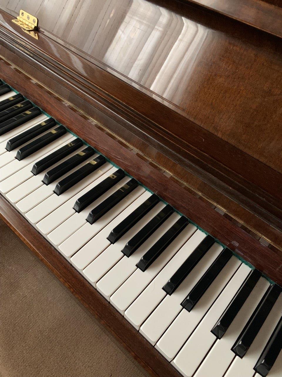 5 Consejos Para Poder Aprender A Tocar El Piano Junto A Un Profesor