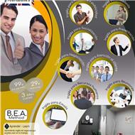 The Business English Academy