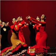 Escuela de danza y musica Beatriz Luengo