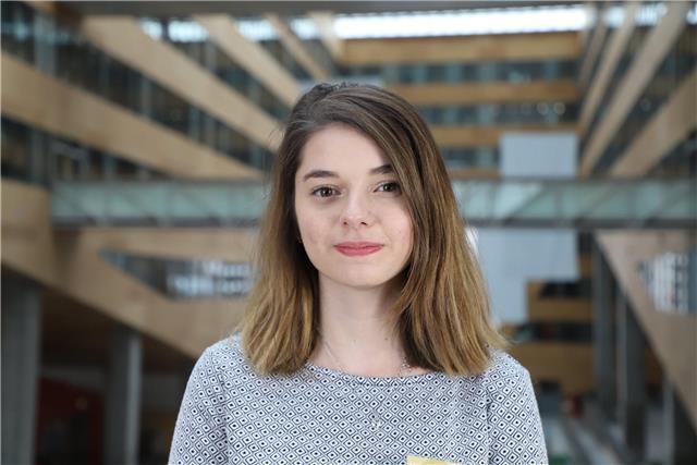 Élève en Terminale ayant vécu cinq ans à l'étranger (Angleterre & Etats-Unis) donne des cours d'anglais du collège au lycée à Lyon