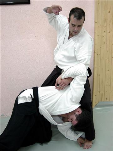 Entrenador de artes marciales y/o defensa personal