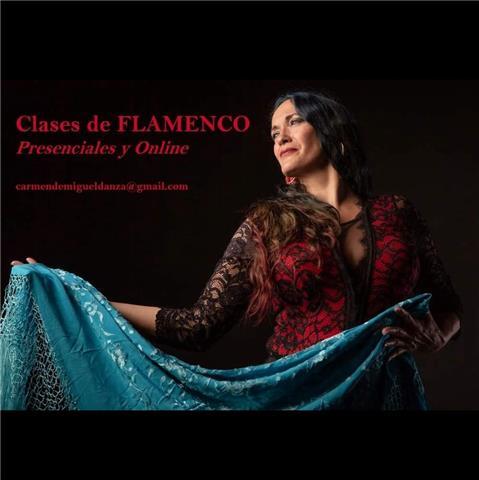 Bailaora profesional de flamenco ofrece clases para niñ@s y adultos, todos los niveles con método original, lúdico y ameno