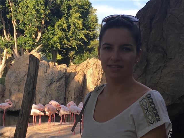 PROFESSEUR ESPAGNOL & FRANCAIS ONLINE