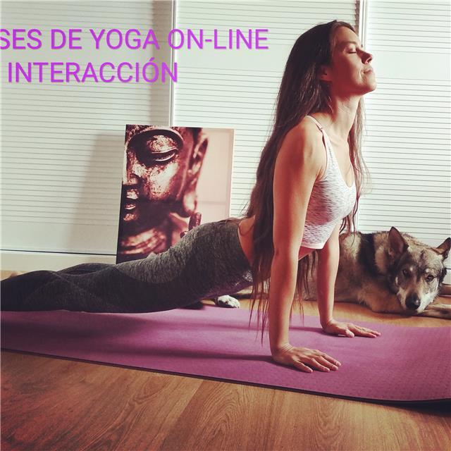 Hatha yoga, flow yoga, vinyasa, yoga integral. español e inglés. con certificado oficial. clases particulares y en comunidades