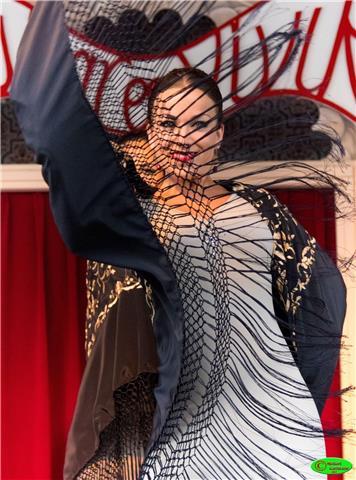 Clases particulares baile latino - flamenco