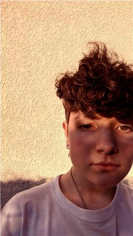 lycéenne de 17 ans je propose de l'aide en anglais tous niveaux