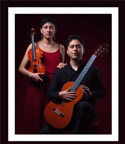 Clases a domicilio de violin, piano, guitarra, charango, saxofón, lenguaje musical