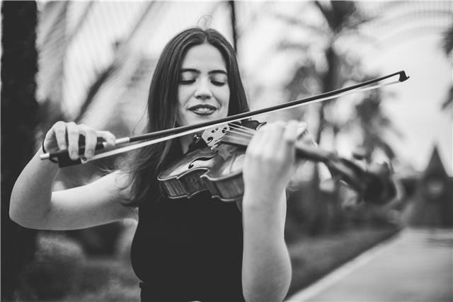 Clases de viola, violín, lenguaje musical, armonía y análisis