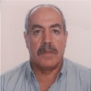 Hamza Ferraz
