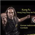 Kung fu - choy lee fut