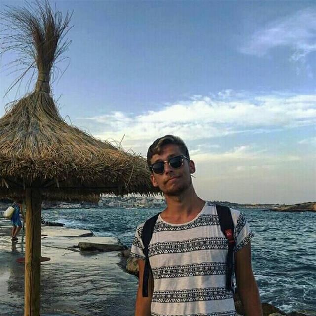Studente laureando in ingegneria energetica si offre per ripetizioni in fisica e matematica , online o in presenza