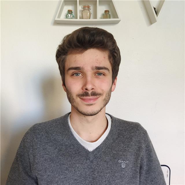Etudiant en dernière année de Licence de Mathématiques donne cours de mathématiques à distance (collège, lycée général)