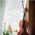 Lezioni di violino ,pianoforte ,teoria mudicale,da maestro diplomato al conservatorio di roma
