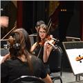 Clases particulares de violín virtual o presencial en córdoba