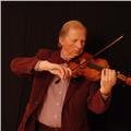 Doy clases y consultas particulares de violin directo o on line para los estudiantes y los niños