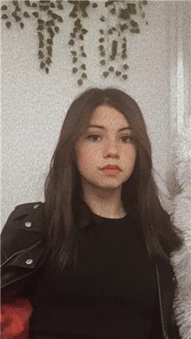 Jeune bilingue de 13 ans qui voudrait enseigner l'anglais à temps plein pare internet