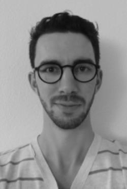 Professeur d'anglais offre des cours en ligne pour tout âge et tout niveau