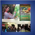 Clases de pintura artística para la provincia de talagante. para niños y adultos. clases personalizadas con la artista visual lorena quiroga